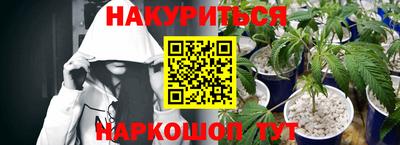 a pvp Тара